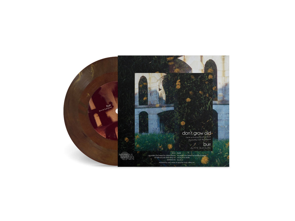 DGO/BURR 7" Split