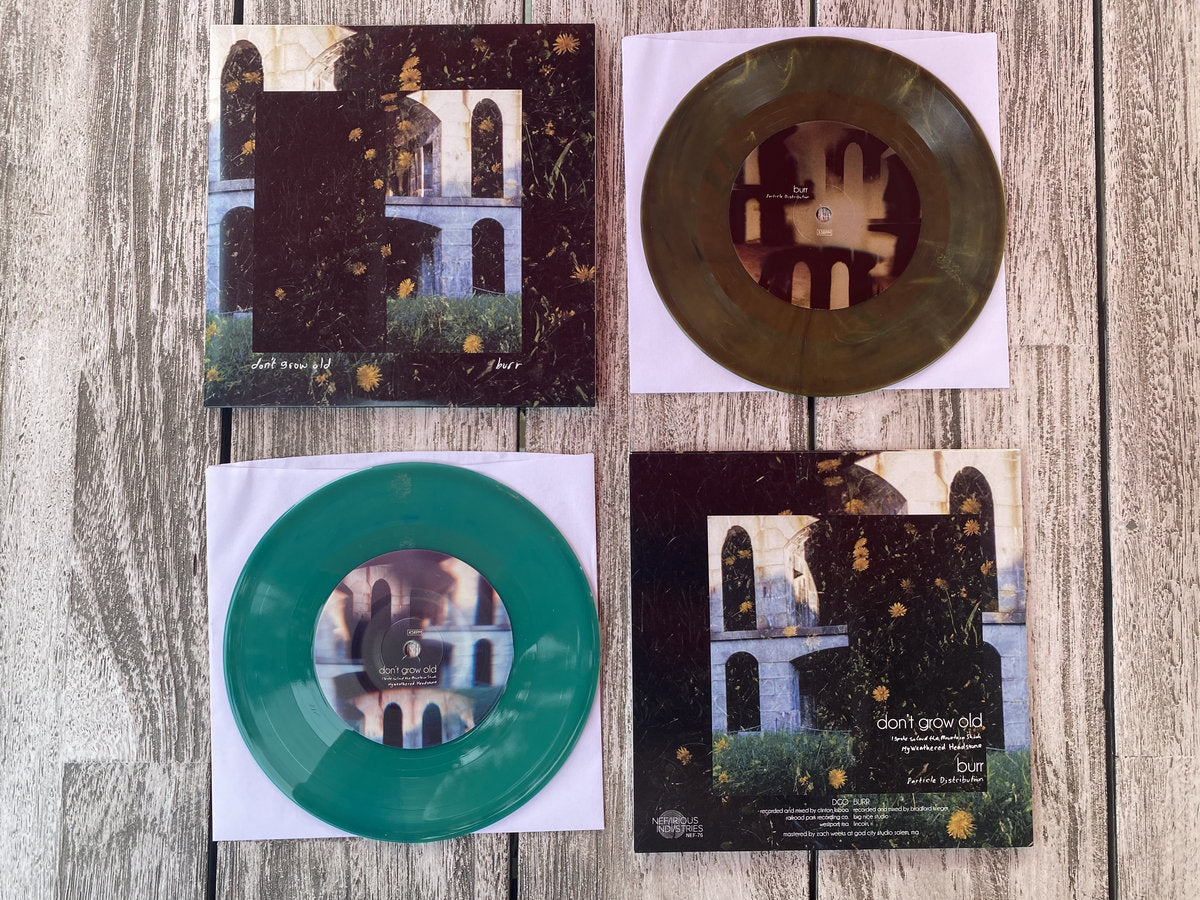 DGO/BURR 7" Split
